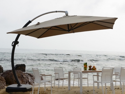 6028 Roman parasol
